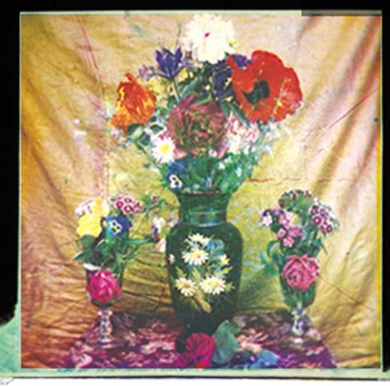 1869_Duco-du-Hauron_flowers_colour_c