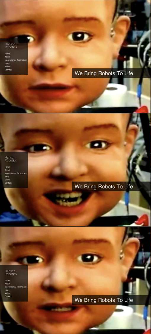 2011_Hanson-Robotics_affective_c